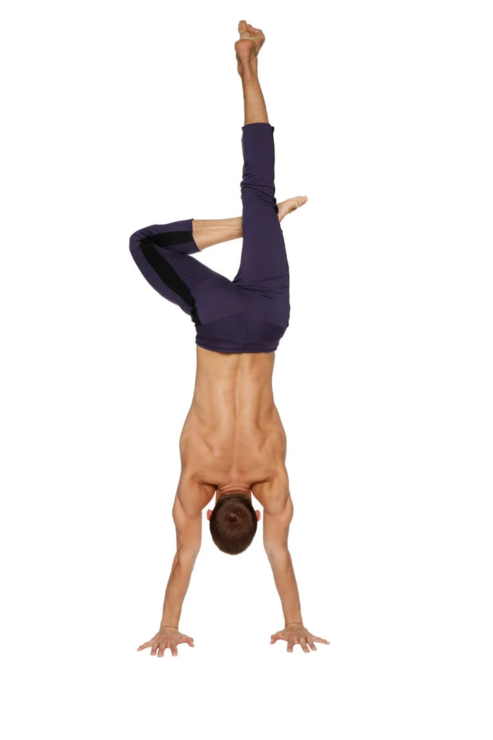 4-rth Mens 4/5 Zipper Pocket Capri Yoga Pants (Eggplant W/Black & Charcoal)